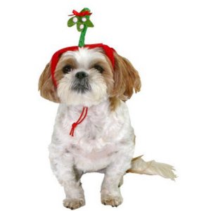Select Pet Costumes and Accessories @ Target.com