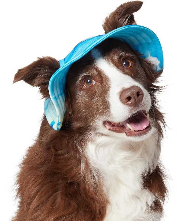 UPF 45 Cooling River Watercolor Dog & Cat Bucket Hat