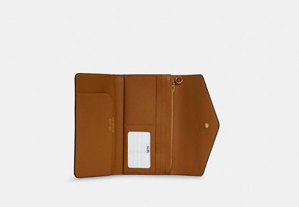 Travel Envelope Wallet In Signature Canvas