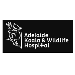 Jurlique All Proceeds Will Benefit Adelaide Koala Sale