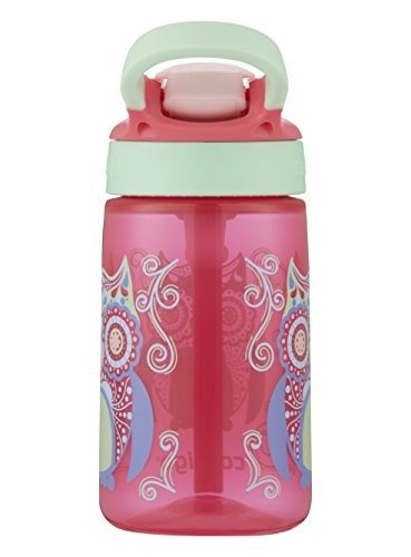 AUTOSPOUT Straw Gizmo Flip Kids Water Bottle, 14 oz., Sprinkles with Owl Parliament