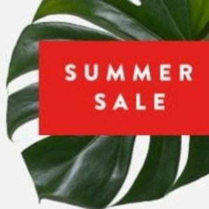 Nordstrom Summer Sale