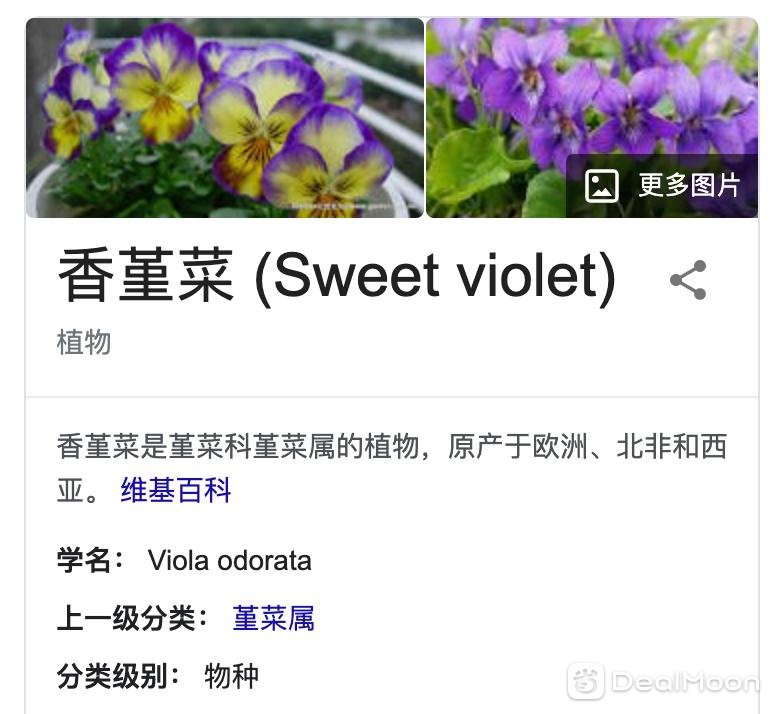 屏幕快照 2021-02-01 下午3.21.21.png