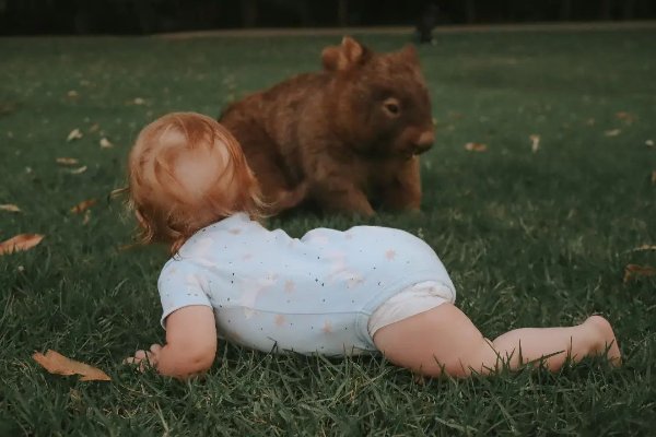rhiannonpaigee_exploreaus_274175578_924007458315029_9063971261131252480_n.jpg