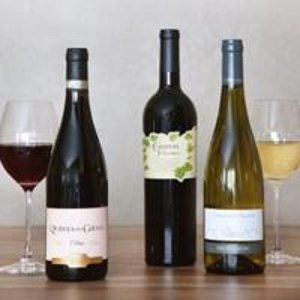 Global Wine Cellars 首次订购 Wine Club 酒品享优惠