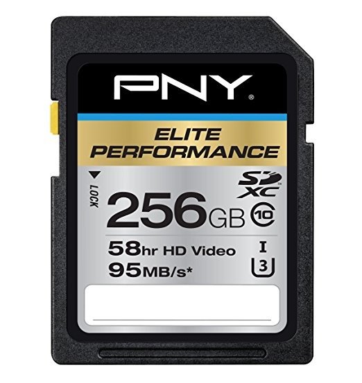 Elite Performance 256GB U3 SDXC