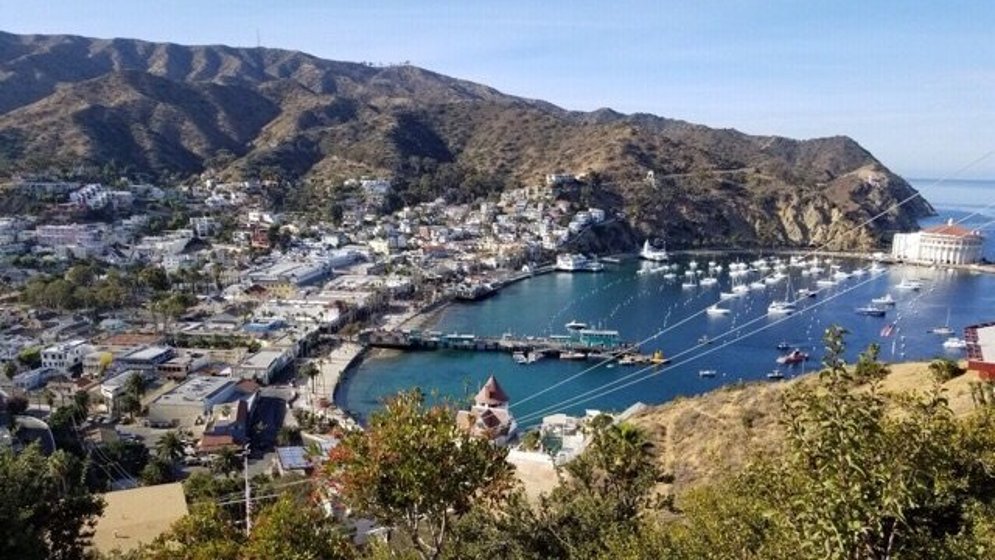 LA拍照新去处 | Santa Catalina Island