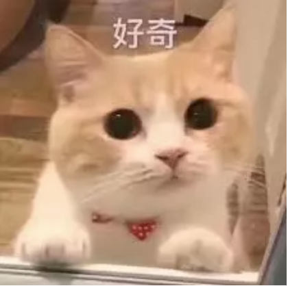 Capture 猫.PNG