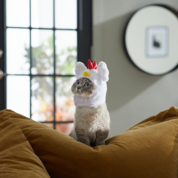 FRISCO Chicken Cat Costume, One Size - Chewy.com