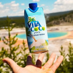 Vita Coco 天然有机椰子水 11.1oz 12盒