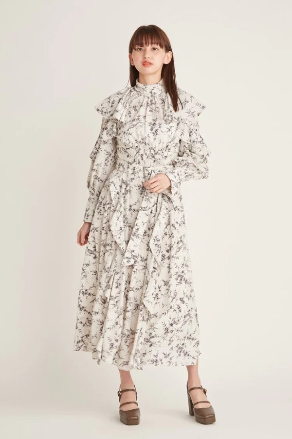 Frill Printed Floral Dress – SNIDEL