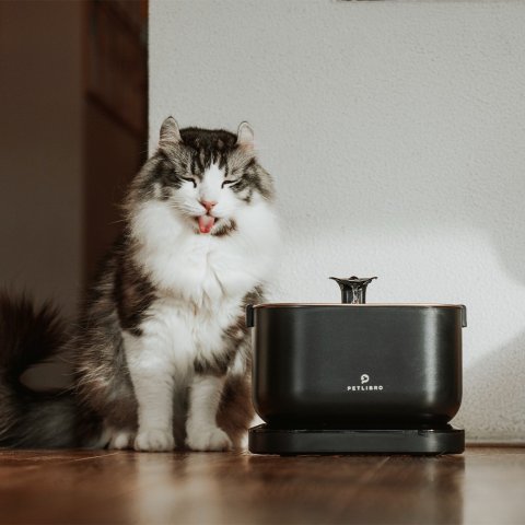 up to 50% offPetlibro Pet Automatic water fountain & feeders Sale