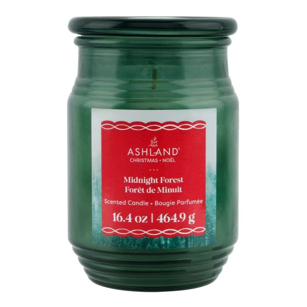 Midnight Forest Scented Jar Candle by Ashland