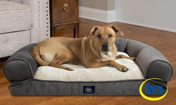 Extra Plush Bolster Dog Bed