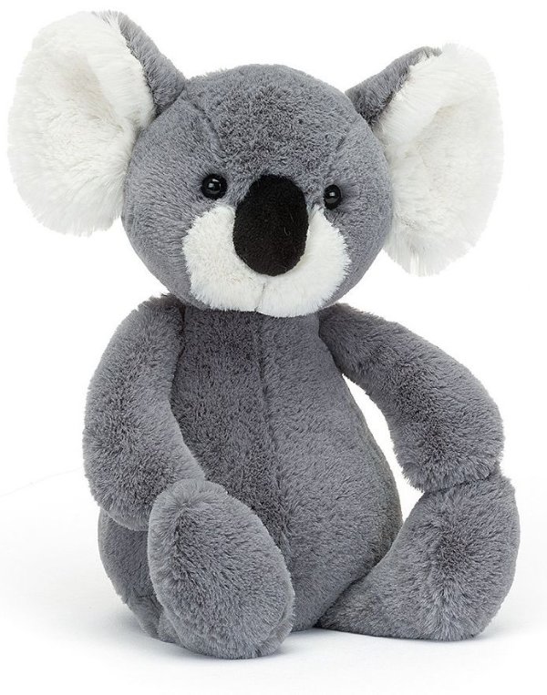 Bashful Koala, 11"