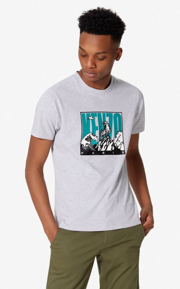'Tiger Mountain' T-shirt