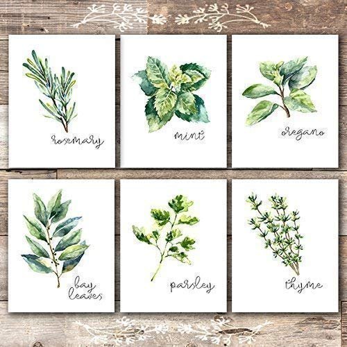 Kitchen Herbs Art Prints 