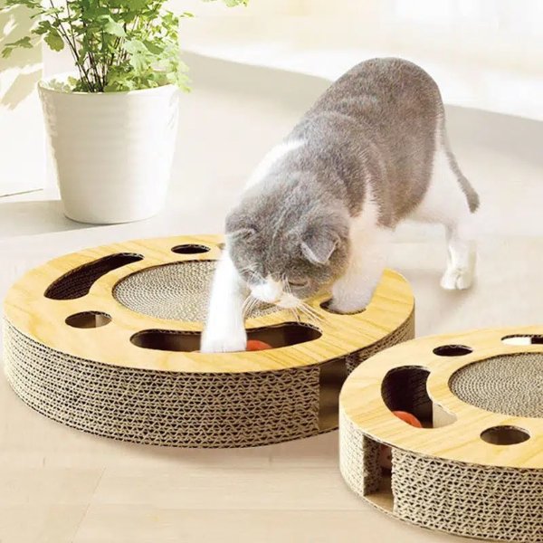 Cat Kitten Interactive Scratching Board With Ball - Pet Supplies - Temu