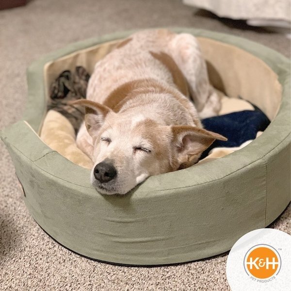 Thermo-Snuggly Sleeper Heated Dog Bed, Sage/Tan, Medium - Chewy.com
