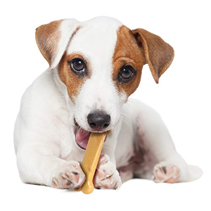 Nylabone Dura Chew Petit Bacon Flavored Bone Dog Chew Toy