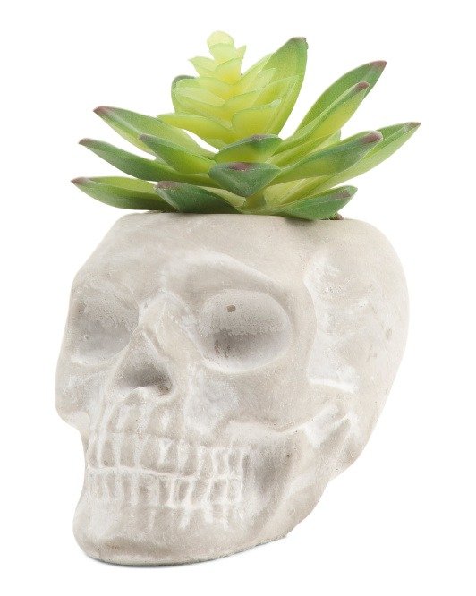 Faux Succulent In Cement Skull Pot
