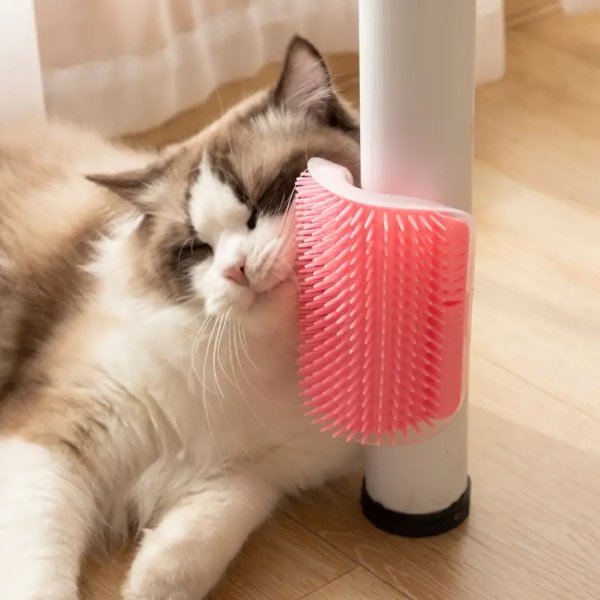 1pc Cat Wall Massage Hair Brush - Pet Supplies - Temu