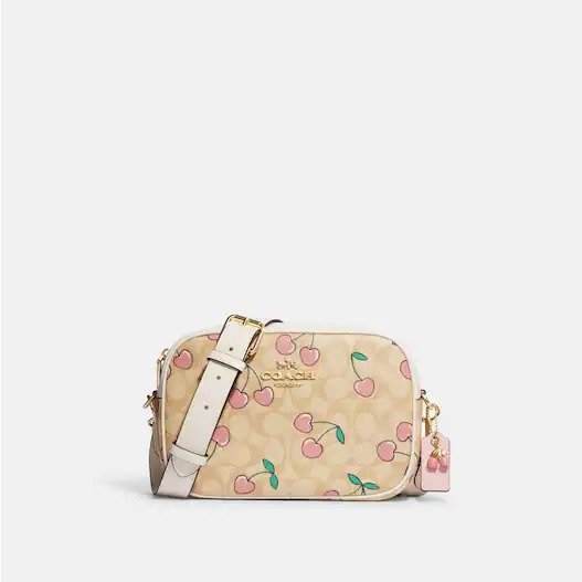 Jamie Camera Bag In Signature Canvas With Heart Cherry Print
