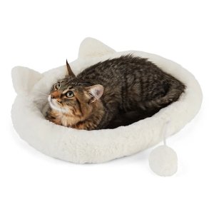 Petco Select Kitten Essentials On sale