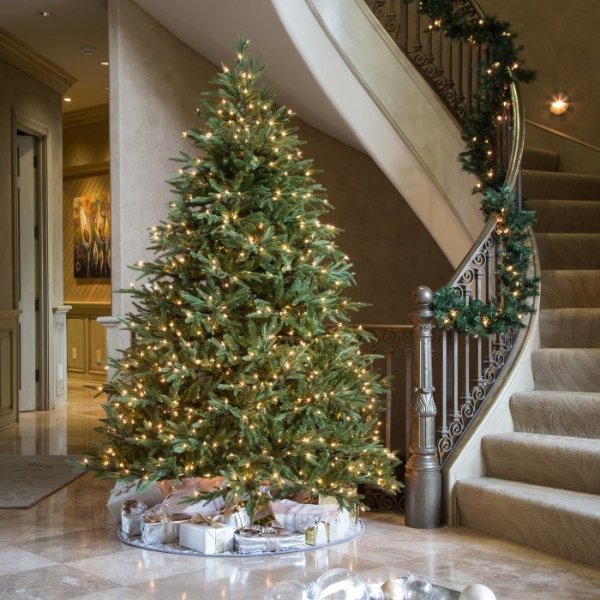 Frasier Grande Full Pre-lit Christmas Tree