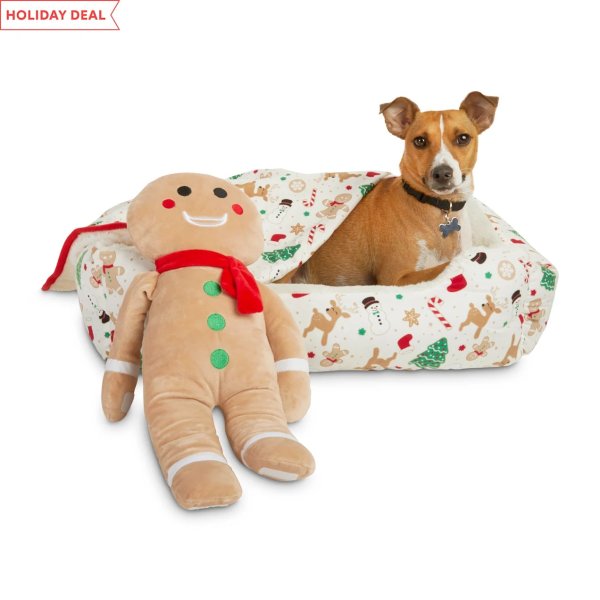Gingerbread Dreams Dog Bed Gift Set, 24" L X 18" W X 7" H, Pack of 3 | Petco