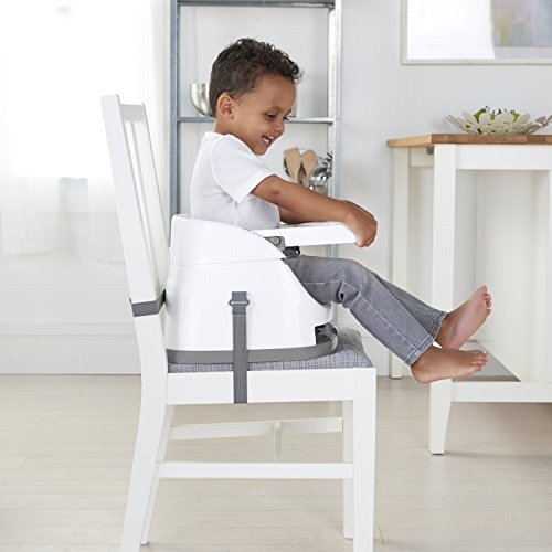 Baby Base 2-in-1 Seat - Peacock Blue