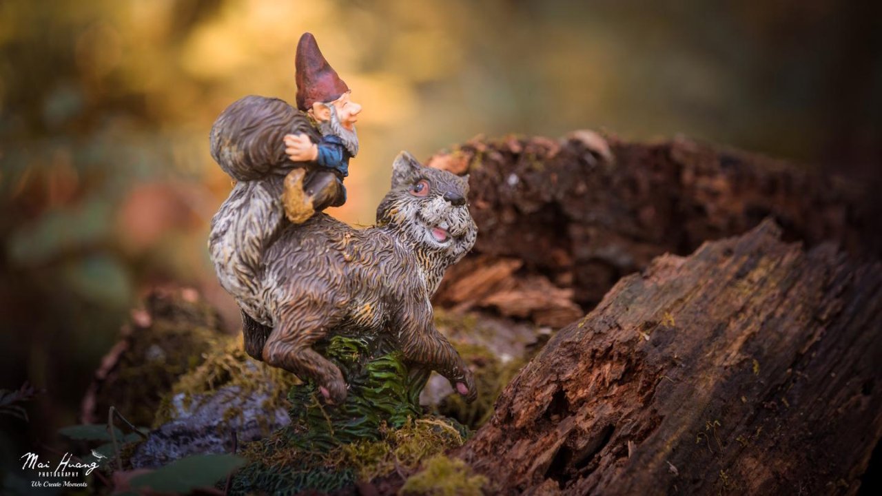 探寻隐藏在西雅图森林里的矮人童话世界