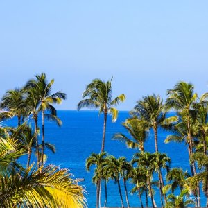夏威夷游玩 机酒套餐、游轮出行 岛上海上出行方式任选