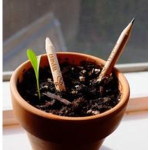 Sprout 种出植物的神奇铅笔套装