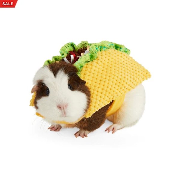 Bootique Tasty Taco Guinea Pig Costume | Petco