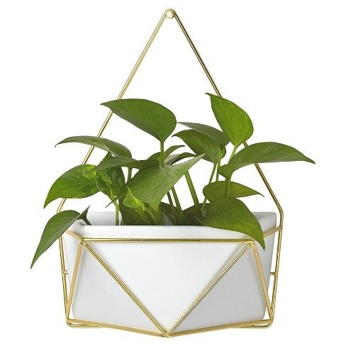 Succulent Wall Geometric Hanging White/Gold - Project 62&#153;