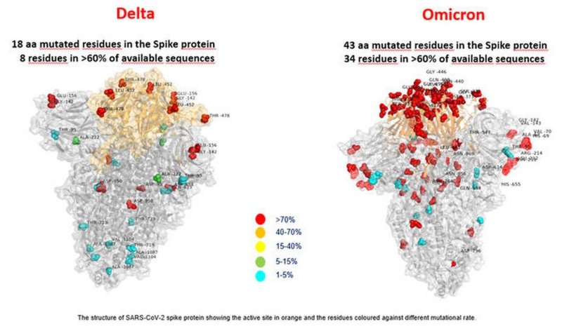 Delta vs Omicron