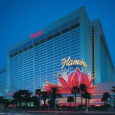 Flamingo Hotel in Las Vegas | Vegas.com