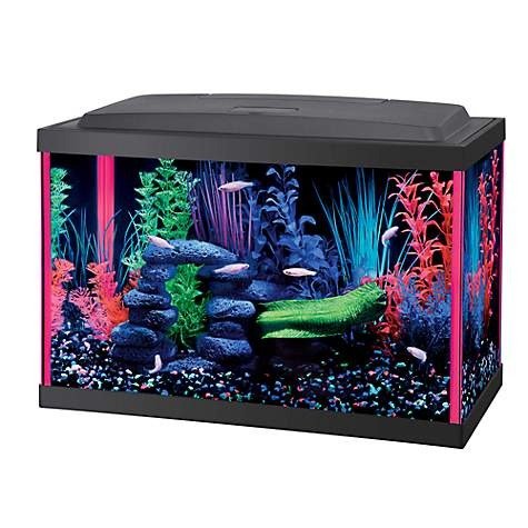5.5加仑粉色LED水族馆套装