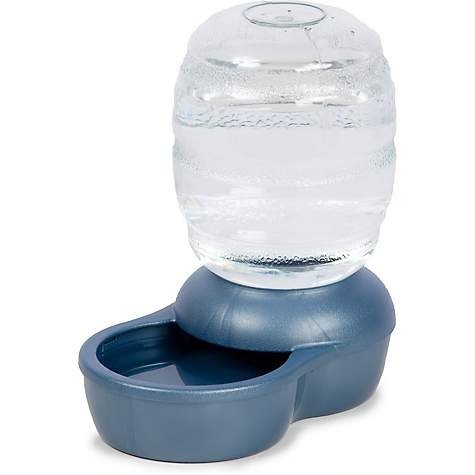Replendish Gravity Waterer Blue Dog Bowl | Petco