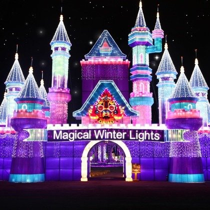 General Admission or Family Four-Pack Admission to Magical Winter Lights (Up to 20% Off). Three Options.