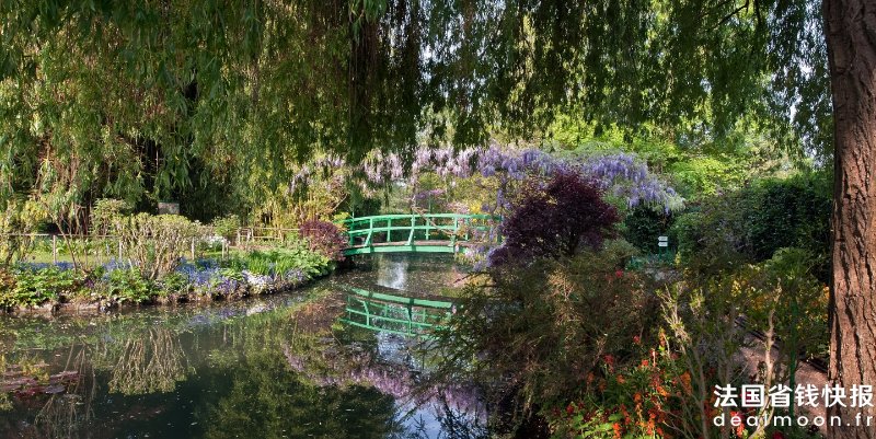 le-jardin-d-eau