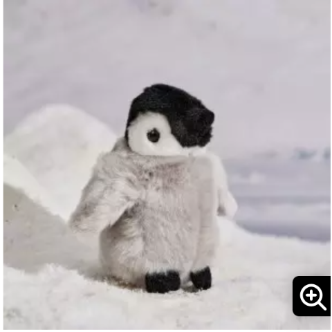 WWF 收养企鹅宝宝 获赠毛绒玩偶