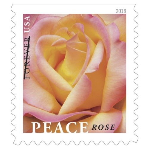 玫瑰图案邮票