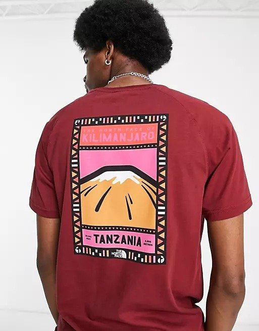Faces back print mountain t-shirt in burgundy