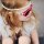 Babiators - Kid's Puppy Love Polarized Aviator Sunglasses