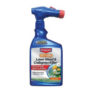 BAYER ADVANCED 32-Fl Oz Concentrate Weed Killer