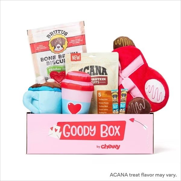 GOODY BOX Valentine's Dog Toys & Treats, Small - Chewy.com