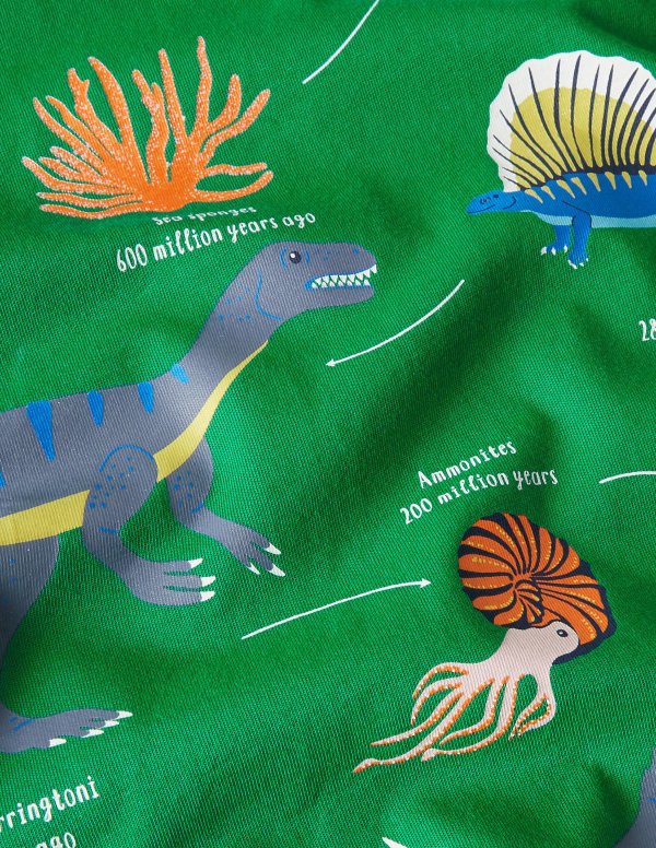 Educational Graphic T-shirt - Highland Green Dinosaurs | Boden US