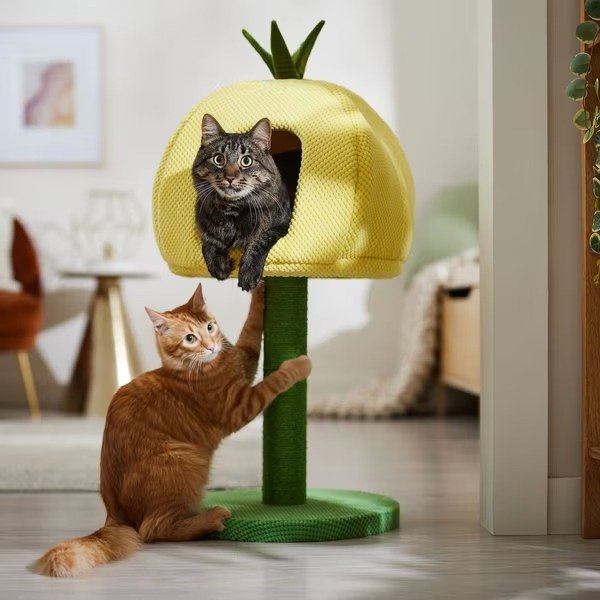 FRISCO Pineapple 33.5" Plush Cat scratching Post & Condo - Chewy.com
